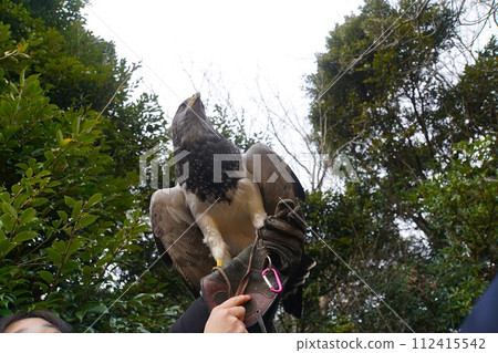 Wasinothri 112415542