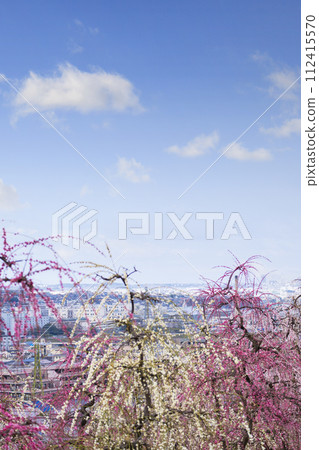 Uji, Kyoto, Mimurotoji Temple, overlooking the city of Uji from the weeping plum garden 112415570