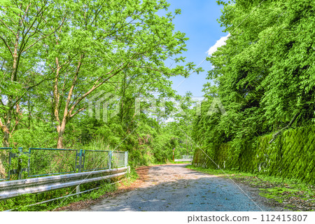 Miyagase Lakeside Park in Spring - One road Miyagase Lakeside Park in Spring - One road 112415807