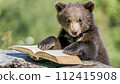 cute brown bear cub reading book in the woods, 16:9 widescreen backdrop / wallpaper 112415908