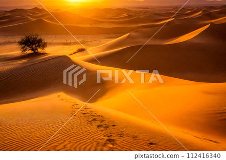 sunset in the desert 112416340