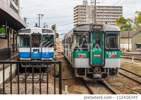 Limited express Tsurugi and local train arriving after descending the Yoshinogawa River 112416345