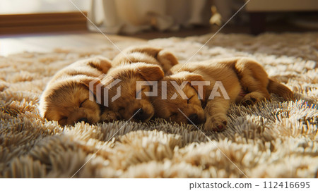 Golden retriever puppies sleeping close together "AI generated image" 112416695