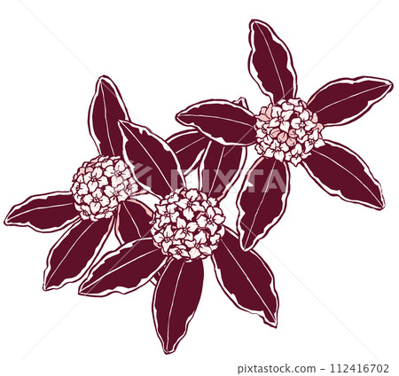 Speckled sunflowers arranged horizontally, brush-painted and painted in two colors 112416702