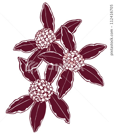 Vertically arranged variegated sunflowers, brush painted and painted in two colors 112416705