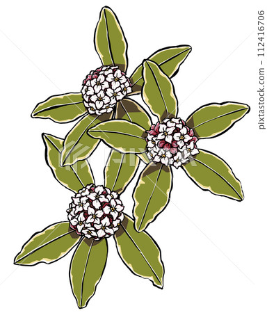 垂直排列的雜色向日葵,刷漆和啞光漆 垂直排列的雜色向日葵,刷漆和啞光漆 112416706