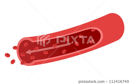 Explanatory diagram of blood vessel flow and red blood cells Medical illustration 112416749
