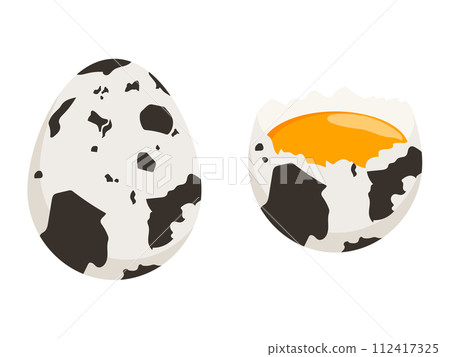 Quail egg illustration, vector illustration. 112417325