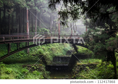 The beautiful vintage walkway from wood in alishan mountain,taiwan. 112417868