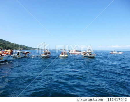 Amakusa dolphin watching 112417942