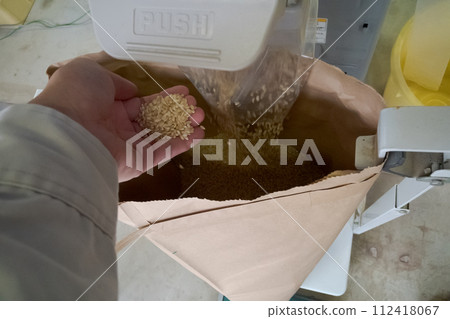 farmer, paddy, rice 112418067