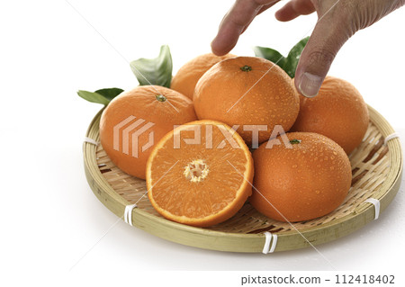 佐賀縣濱崎優質柑橘(白底) 佐賀縣濱崎優質柑橘(白底) 112418402