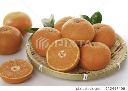 High-grade mandarin orange Hamasaki from Saga Prefecture (white background) 112418406