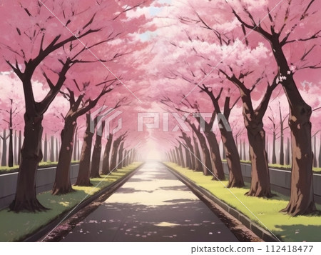 Row of cherry trees Row of cherry trees 112418477