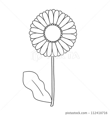 黑白單非洲菊圖 112418716
