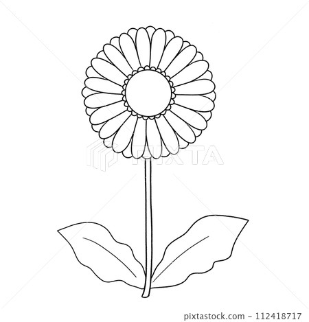 黑白單非洲菊圖 黑白單非洲菊圖 112418717