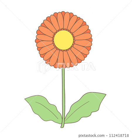 單一非洲菊圖 單一非洲菊圖 112418718