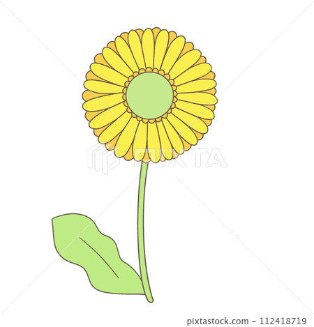 單一非洲菊圖 單一非洲菊圖 112418719