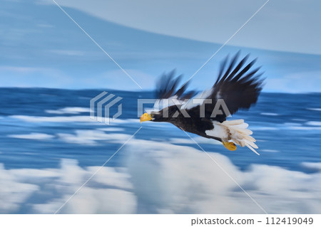 St. Pear St. Pear 112419049