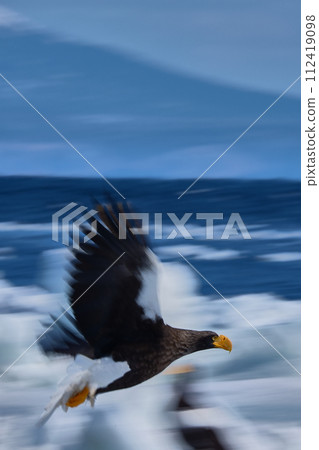 聖梨 聖梨 112419098