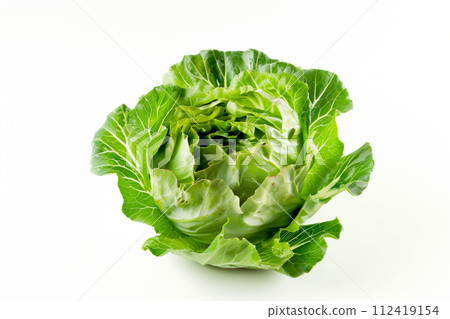 Endive or butterhead lettuce isolated on white background. Fresh green salad leaves from garden Endive or butterhead lettuce isolated on white background. Fresh green salad leaves from garden 112419154