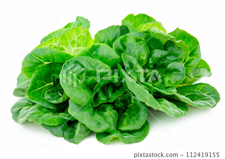 Endive or butterhead lettuce isolated on white background. Fresh green salad leaves from garden Endive or butterhead lettuce isolated on white background. Fresh green salad leaves from garden 112419155