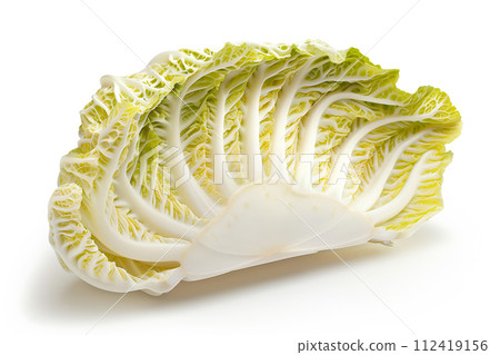 Summer Crisp Lettuce (Batavia) isolated on white background. Fresh green salad leaves from garden Summer Crisp Lettuce (Batavia) isolated on white background. Fresh green salad leaves from garden 112419156