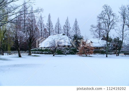 Snow scene on the thatched roof 112419202