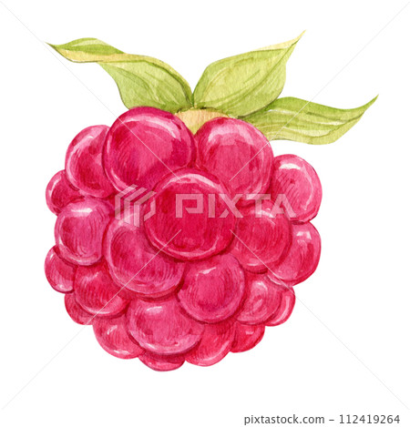 Raspberry watercolor illustration on a white background. Fresh red berry, ripe organic product. Seasonal plant, source of vitamins, healthy diet. Vegetarian food. For packaging design, labels. Raspberry watercolor illustration on a white background. Fresh red berry, ripe organic product. Seasonal plant, source of vitamins, healthy diet. Vegetarian food. For packaging design, labels. 112419264