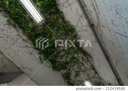 tunnel, wall, walls 112419580