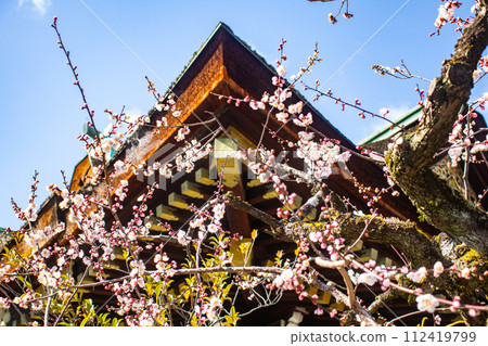 【京都風景】北野地區，美麗的梅花等待春天 112419799
