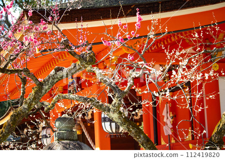 【京都風景】北野地區，美麗的梅花等待春天 112419820