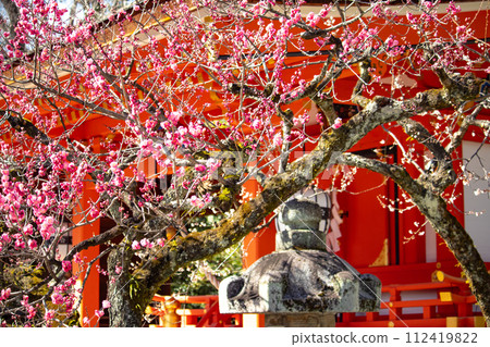 【京都風景】北野地區,美麗的梅花等待春天 【京都風景】北野地區,美麗的梅花等待春天 112419822
