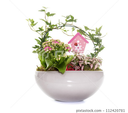 floral and plant composition floral and plant composition 112420781