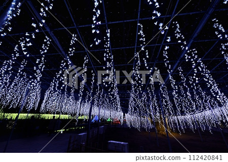 Ashikaga Flower Park in winter with illuminations on the wisteria trellis 112420841