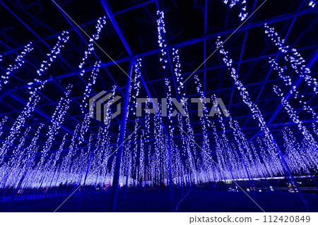 冬天的足利花卉公園,紫藤架上有彩燈 冬天的足利花卉公園,紫藤架上有彩燈 112420849