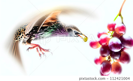 Delicious fruit grapes Grapes in water Grapes dancing with water splashes Commercial grape pictures Grapes dancing with water droplets Grapes in the kitchen Wine Delicious fruit grapes Grapes in water Grapes dancing with water splashes Commercial grape pictures Grapes dancing with water droplets Grapes in the kitchen Wine 112421004