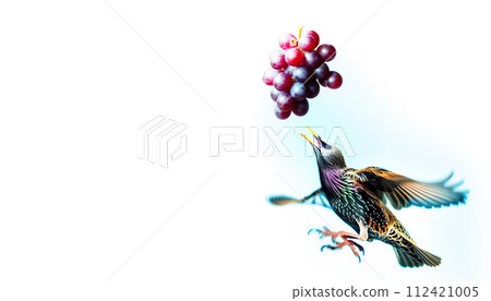 Delicious fruit grapes Grapes in water Grapes dancing with water splashes Commercial grape pictures Grapes dancing with water droplets Grapes in the kitchen Wine 112421005