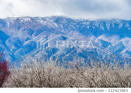 Inabe City Agricultural Park/Plum Grove, Mie Prefecture 112421663