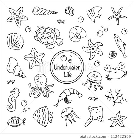Set of sea underwater creatures outline on white background Hand drawn thin line doodle illustration Set of sea underwater creatures outline on white background Hand drawn thin line doodle illustration 112422599