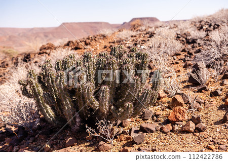 The Namibian Desert 112422786