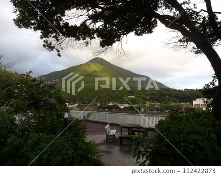 A cloud-covered mountain seen from the shade of a tree 112422873