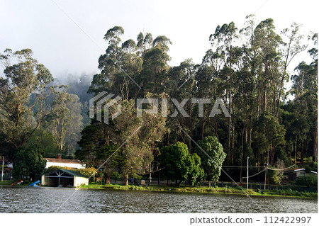 Lake Edge Landscape, Kodaikanal 112422997