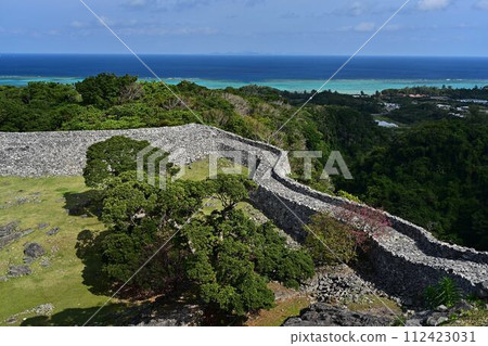 今歸仁城的櫻花 今歸仁城的櫻花 112423031