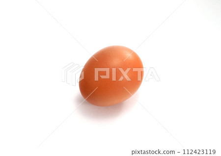 An egg An egg 112423119