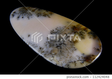 Dendritic Agate A stone that harbors landscapes 112424048