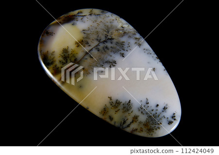 Dendritic Agate A stone that harbors landscapes 112424049