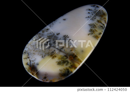 Dendritic Agate A stone that harbors landscapes 112424050