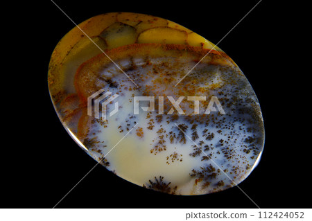 Dendritic Agate A stone that harbors landscapes 112424052