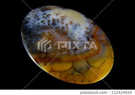 Dendritic Agate A stone that harbors landscapes Dendritic Agate A stone that harbors landscapes 112424054